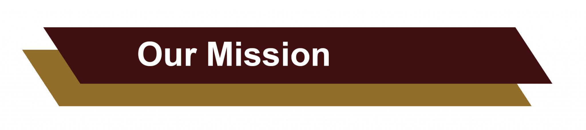 Program Mission Header About Us
